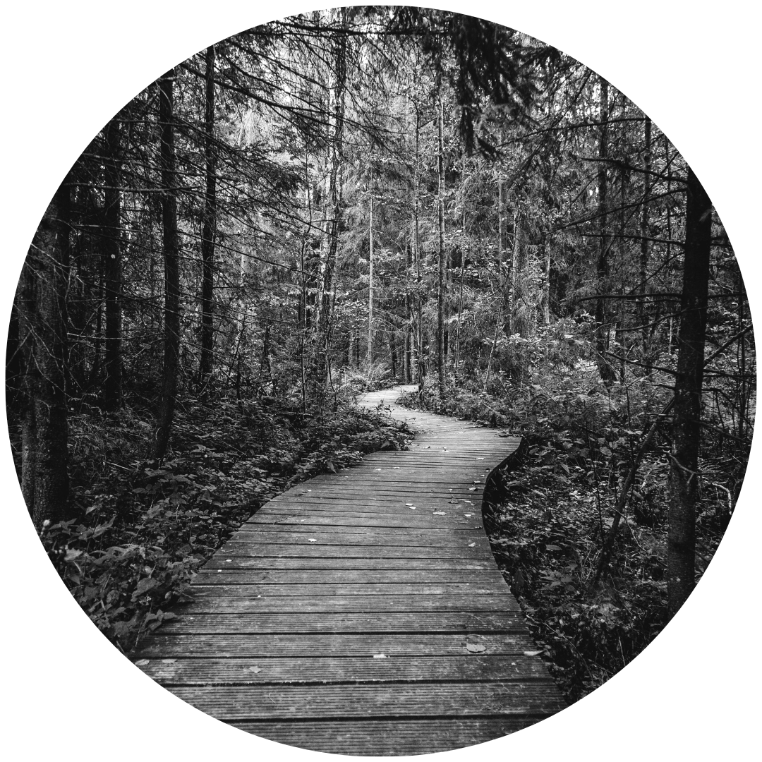 Campaign strategy - Path forward - marketing strategy